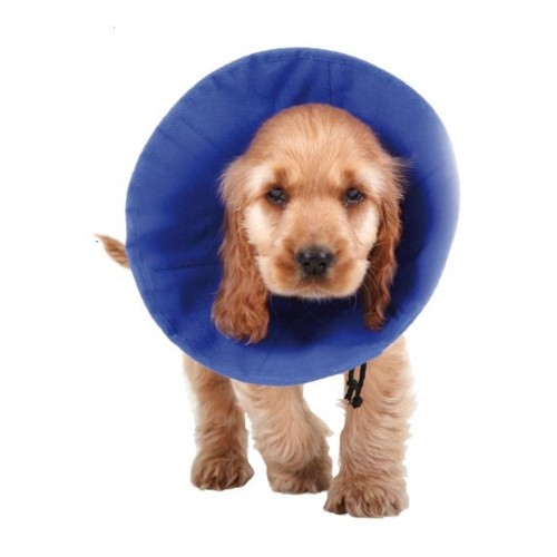 Ошейник для собак Isabelino KVP EZ Soft Синий (30-50 cm) image 1