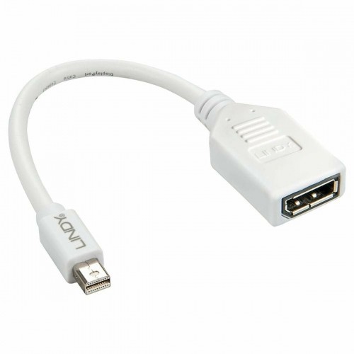 Mini DisplayPort uz DisplayPort Adapters LINDY 41021 Balts image 1