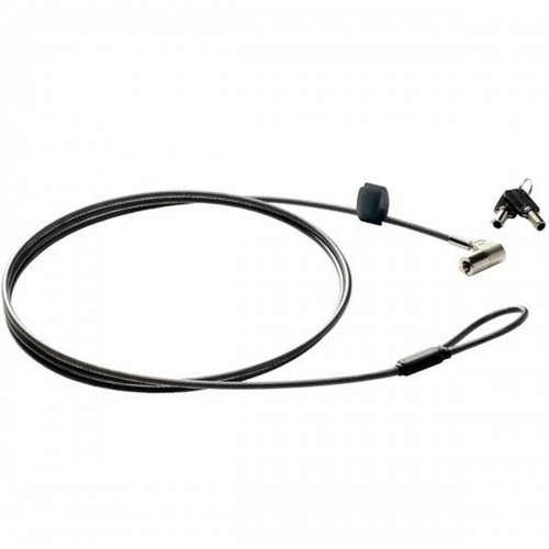 Защитный кабель HP 6UW42AA Чёрный Серебристый image 1