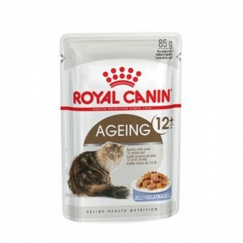 Kaķu barība Royal Canin FHN Ageing 12+ Gaļa image 1