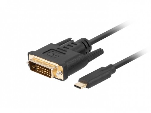 Lanberg CA-CMDV-10CU-0005-BK video cable adapter 0.5 m USB Type-C DVI-D Black image 1