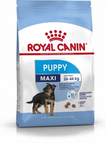 Royal Canin SHN Maxi Puppy - dry puppy food - 4kg image 1