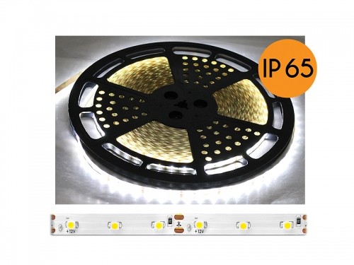 Eco Light Светодиодный шнур PS ECO IP65, естественный белый свет, 60diod|m, 25m, белая подложка, SMD2835. image 1