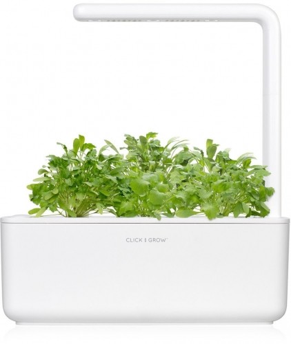 Click & Grow Smart Garden refill Кресс-салат 3 штуки image 2