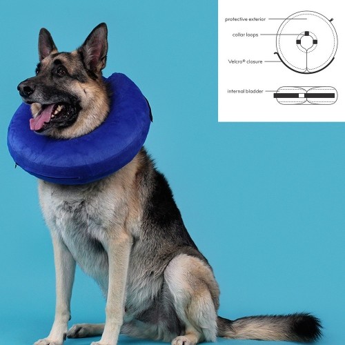 Recovery Collar for Dogs KVP Kong Cloud Zils Piepūšamās (+46 cm) image 2