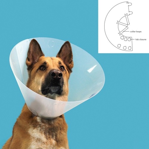 Pēcoperācijas apkakle suņiem KVP Quick Fit Caurspīdīgs (45-56 cm) image 2