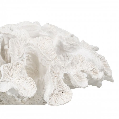 Bigbuy Home Декоративная фигура Белый Коралл 30 x 30 x 11 cm image 2