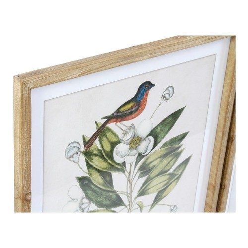 Картина DKD Home Decor Bird птицы (4 pcs) (55 x 2.5 x 70 cm) image 3