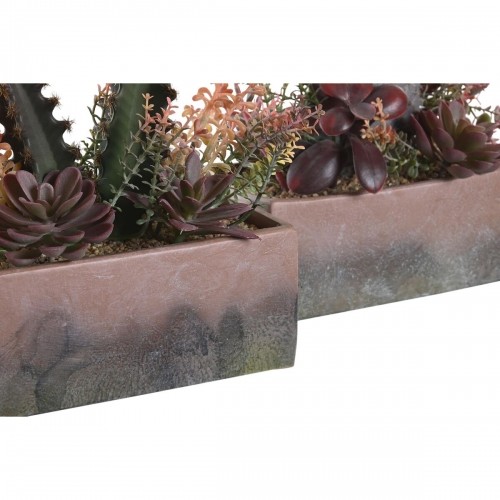 Dekoratīvs Augs DKD Home Decor 19 x 9 x 22 cm Rozā Oranžs Kaktuss Gumija Eva polipropilēns (2 gb.) image 3