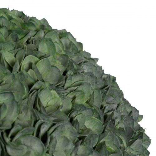 Bigbuy Home Декоративное растение Зеленый PVC 28 x 28 cm image 3