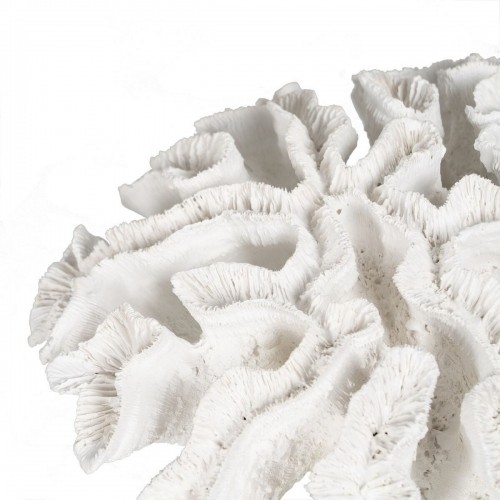 Bigbuy Home Декоративная фигура Белый Коралл 30 x 30 x 11 cm image 4