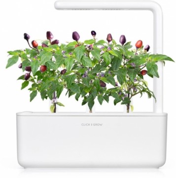 Click & Grow Smart Garden refill Пурпурный перец 3 шт.