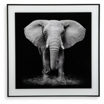Bigbuy Home Картина Elephant (2 x 50 x 50 cm)