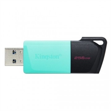 USB Zibatmiņa Kingston DataTraveler DTXM 256 GB 256 GB