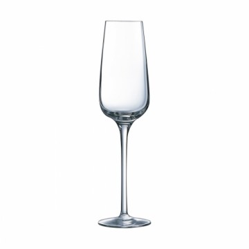 C&S Šampanieša glāze Chef & Sommelier 6 gb. Caurspīdīgs Stikls (21 cl)