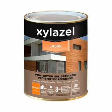 Surfaces Protector Xylazel 5396903 Устойчивы к ультрафиолетовому излучению Бесцветный сатин 375 ml