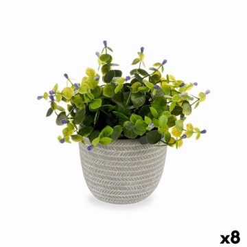 Ibergarden Декоративное растение Цветы Пластик 21 x 20,6 x 21 cm (8 штук)