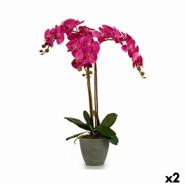 Ibergarden Декоративное растение Орхидея Пластик 60 x 78 x 44 cm (2 штук)
