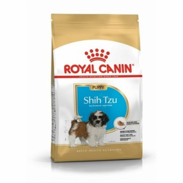 Lopbarība Royal Canin Shih Tzu Puppy Bērns/Juniors Dārzeņu 500 g