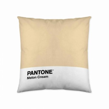 Чехол для подушки Melon Cream Pantone 63836415 (50 x 50 cm)