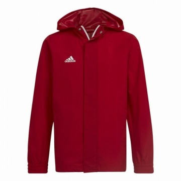 Детская спортивная куртка Adidas Entrada 22 Красный