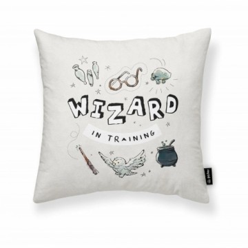 Чехол для подушки Harry Potter Wizard Светло-серый 45 x 45 cm